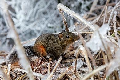 《NBA 2K22》第六季开启 开始一场穿越宇宙的星际旅行